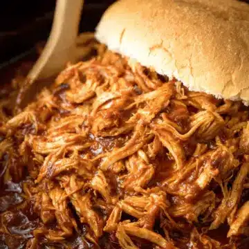 Pulled Chicken