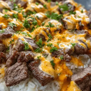 Steak Cheese and Rice