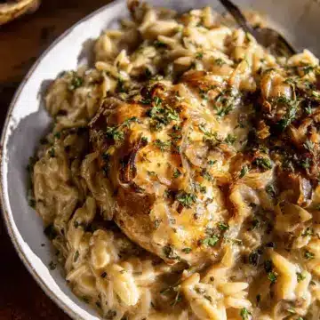 Crockpot Creamy French Onion Chicken and Orzo